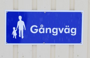 gangvag