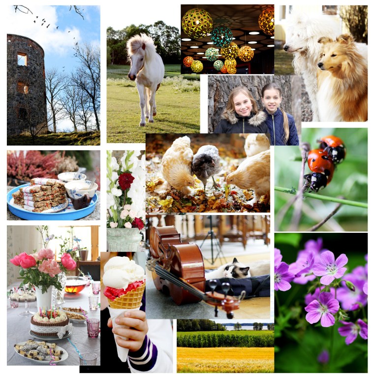 aret-i-bilder-2016